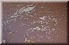 IMGP0945.JPG